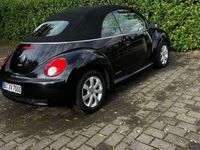 gebraucht VW Beetle NewCabriolet 1.4 United