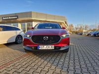 Gebraucht Mazda CX-30 140 PS (102 kW) 2024 Soul red crystal m SUV