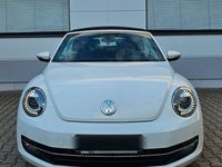 gebraucht VW Beetle 2.0 - Tüv Neu - Scheckheftgepflegt