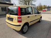 Gebraucht Fiat Panda Dynamic 60 PS (44 kW) 2009 Beige Kleinwagen