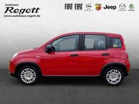 Usata Fiat Panda 69 CV (50 kW) 2024 Rosso Utilitaria