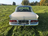 Gebraucht Mercedes 230 163 PS (119 kW) 1967 Beige Limousine