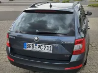 Gebraucht Skoda Octavia Elegance 150 PS (110 kW) 2014 Grau Kombi