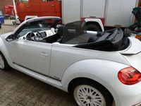 gebraucht VW Beetle Cup BMT Cabriolet (5C7)