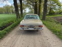 Gebraucht Mercedes 280 1969 Gold Coupé