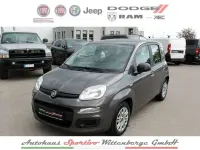 Gebraucht Fiat Panda 69 PS (50 kW) 2022 Colosseeo grau Kleinwagen
