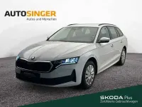 Gebraucht Skoda Octavia Essence 116 PS (85 kW) 2025 Moonweiss metallic Kombi