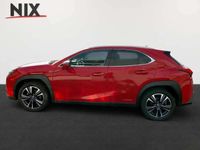 gebraucht Lexus UX 250h Style Edition BLUETOOTH KAMERA SITZHEIZUNG WKR NEU