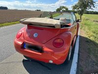 gebraucht VW Beetle Käfer Cabrio Rot Benziner Bj 2005 Cabriolet Schalter