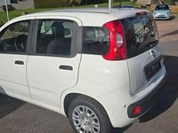 Neu Fiat Panda 69 PS (50 kW) 2025 Weiß Kleinwagen