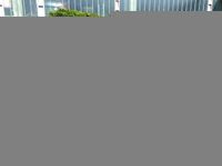 Usado Mini One D 95 HP (69 kW) 2015 Azul Citadino