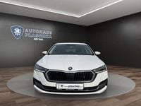 Gebraucht Skoda Octavia First Edition 150 PS (110 kW) 2020 Candyweiß Kombi