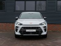 Gebraucht Cupra Terramar VZ 265 PS (194 kW) 2025 Weiß SUV