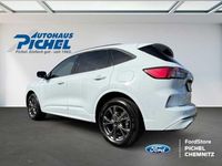 Gebraucht Ford Kuga ST-Line X 224 PS (164 kW) 2024 Weiß SUV