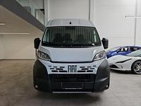 Neu Fiat Ducato 140 PS (102 kW) 2025 Weiss Van