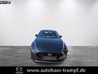 Neu Mazda 3 Homura-Line 186 PS (136 kW) 2025 Kleinwagen