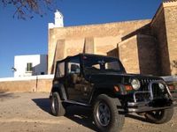 Gebraucht Jeep Wrangler Sport 118 PS (86 kW) 1997 Grün SUV