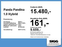 Neu Fiat Panda 69 PS (50 kW) 2025 Gelato Kleinwagen