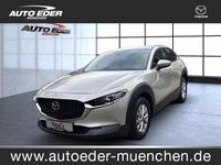 Gebraucht Mazda CX-30 Selection 150 PS (110 kW) 2023 Silber SUV