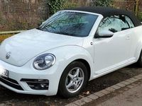 Gebraucht VW Beetle Cabriolet Sound 105 PS (77 kW) 2017 Weiß Cabrio