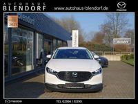 gebraucht Mazda CX-30 Selection 150 Automatik 360°|Bose|MatrixLED