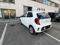 Gebraucht Kia Picanto Vision 67 PS (49 kW) 2023 Weiß Kleinwagen