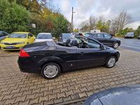 gebraucht Ford Focus Cabriolet Titanium/Vollleder/Klimaaut/Sitzheizung/PDC/8fach/