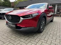 Gebraucht Mazda CX-30 122 PS (89 kW) 2020 Rot metallic SUV