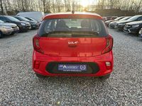 Gebraucht Kia Picanto Edition 7 67 PS (49 kW) 2022 Rot Kleinwagen