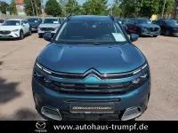 Gebraucht Citroën C5 Feel 181 PS (133 kW) 2019 Grün Limousine