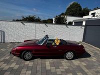 Gebraucht Alfa Romeo Spider 120 PS (88 kW) 1993 Rot Cabrio