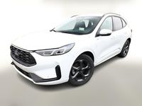 Neu Ford Kuga ST-Line 150 PS (110 kW) 2026 Weiß SUV