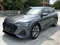 Gebraucht Audi e-tron S-Line 230 kW (313 PS) 2022 Daytonagrau perleffekt SUV
