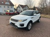 Gebraucht Land Rover Range Rover evoque 150 PS (110 kW) 2017 Weiß SUV