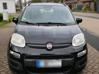 Gebraucht Fiat Panda 69 PS (50 kW) 2012 Schwarz Kleinwagen