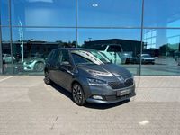 Gebraucht Skoda Fabia 110 PS (80 kW) 2020 Grau Kleinwagen