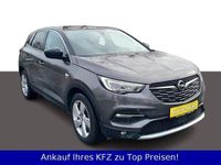 Gebraucht Opel Grandland X 131 PS (96 kW) 2020 Grau SUV