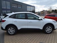 Gebraucht Ford Kuga Cool & Connect 150 PS (110 kW) 2023 Frostweiß SUV