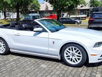 gebraucht Ford Mustang 