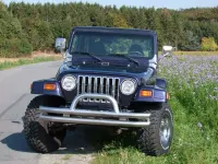 Gebraucht Jeep Wrangler 177 PS (130 kW) 1999 Blau SUV