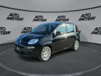 Neu Fiat Panda Icon 65 PS (47 kW) 2026 Schwarz Kleinwagen