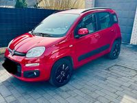 Gebraucht Fiat Panda 86 PS (63 kW) 2014 Rot Kleinwagen