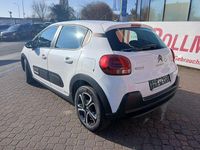 Gebraucht Citroën C3 82 PS (60 kW) 2023 Weiß Kleinwagen
