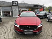 Gebraucht Mazda CX-30 Selection 179 PS (131 kW) 2020 Magmarot SUV