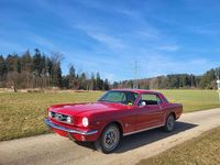 Second-hand Ford Mustang 200 CP (147 kW) 1966 Roșu Coupe