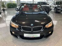 gebraucht BMW 220 iA Cabrio 1.Hand M Sport Leder Navi Sitzheizung Cl