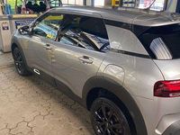 Gebraucht Citroën C4 Cactus Shine 120 PS (88 kW) 2019 Grau Kleinwagen