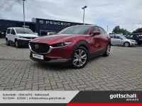 Gebraucht Mazda CX-30 Selection 150 PS (110 kW) 2021 Soul red crystal (rot) SUV