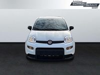 Gebraucht Fiat Panda 69 PS (50 kW) 2024 Weiß Limousine