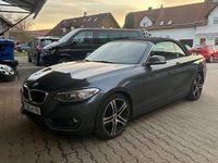 Gebraucht BMW 228 Advantage 245 PS (180 kW) 2015 Grau Cabrio